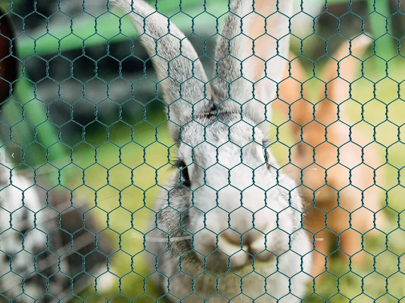 How to Choose ShunMao Wire Mesh Weaving Machines