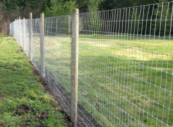 Shunmao Wire Mesh Machines Solution in Agricultural Industry